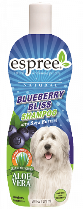 20oz-Blueberry-Bliss-Shampoo